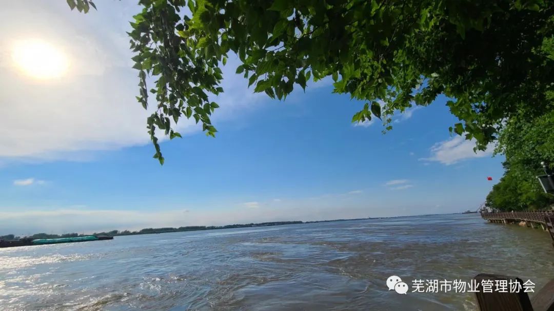 芜湖市物协：传承红色基因·牢记初心使命